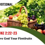 Luke 2:22-23 Devotional - Give God Your Firstfruits