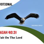 Isaiah 40:31 Devotional - Wait On The Lord
